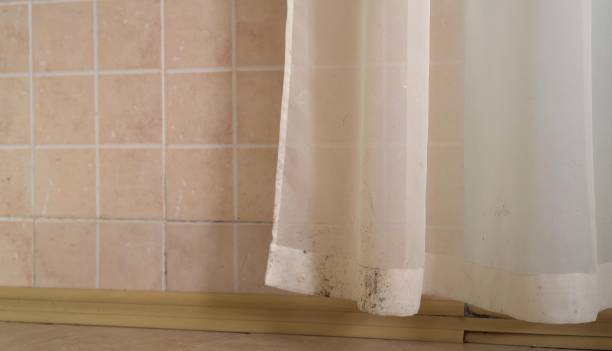 Best Mold Remediation for Healthcare Facilities  in Wilmington, DE