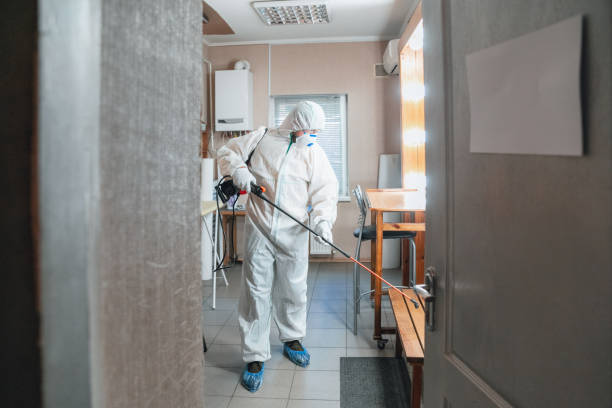 Best Attic Mold Removal  in Wilmington, DE