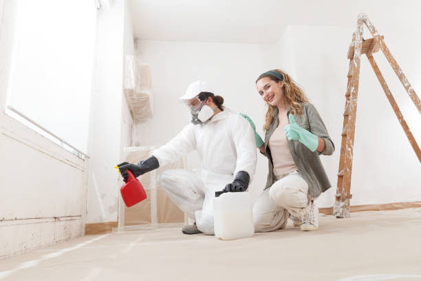Best Comprehensive Air Testing for Mold Contaminants  in Wilmington, DE